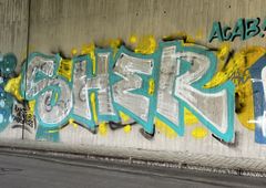 Photo 245400