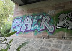 Photo 245847