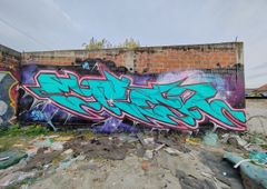 Photo 246305
