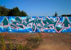 Photo 245619