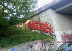 Photo 192161