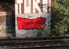 Photo 237450