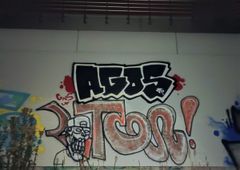 Photo 245959