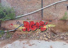 Photo 245511