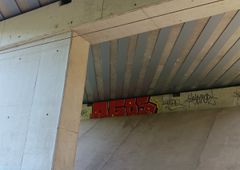 Photo 245618