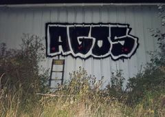 Photo 245960