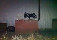 Photo 245904