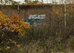 Photo 243266