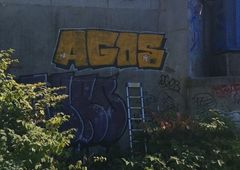 Photo 237454