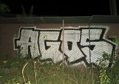 Photo 245585