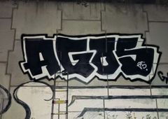 Photo 245970