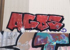 Photo 237444