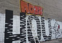 Photo 237456