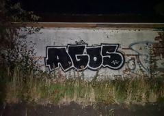 Photo 245905