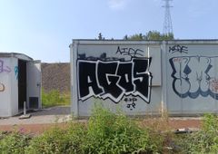 Photo 245969