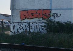 Photo 237455