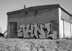 Photo #37968 by AHNL