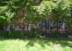 Photo 245506
