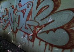 Photo 245631