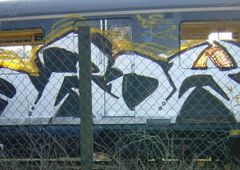 Photo 229274