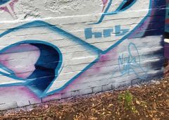 Photo 245327