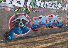 Photo 245330