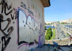 Photo 245589
