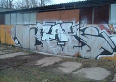 Photo 136657