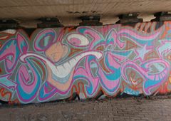 Photo 245684