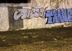 Photo 236172