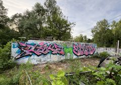 Photo 241263