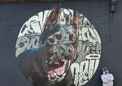 Photo 245568