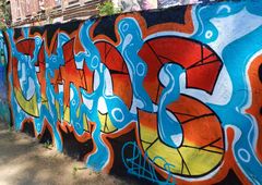 Photo 246929