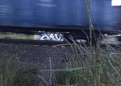 Photo #227487 by DKVCREW