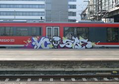 Photo 151893