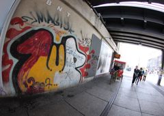 Photo 217843