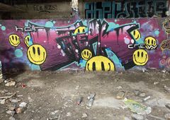 Photo 234079
