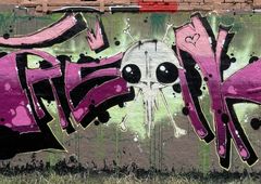 Photo 245693