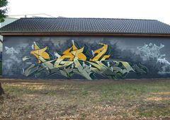 Photo #40816 by GraffFunk