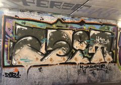 Photo 239259
