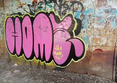 Photo 245590