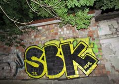 Photo 245689