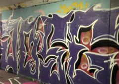 Photo 237263