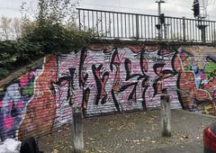 Photo 237264