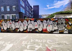Photo 245386