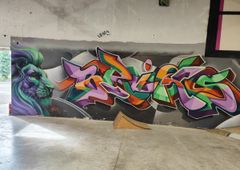 Photo 246951