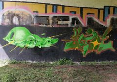 Photo 245587