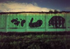 Photo 245635