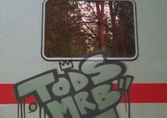 Photo #228293 by MRB