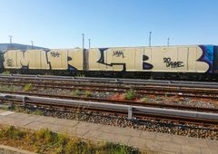 Photo #231626 by MRB